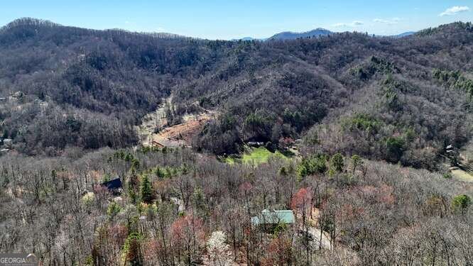 230 Smokin Ridge Hayesville - Photo 49