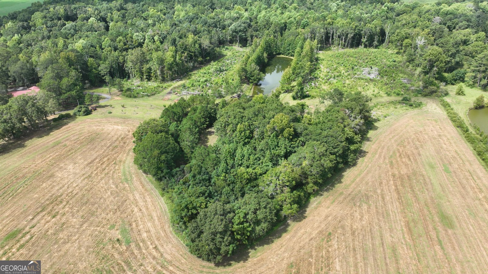 2880 Ga Highway 15 Tennille - Photo 25