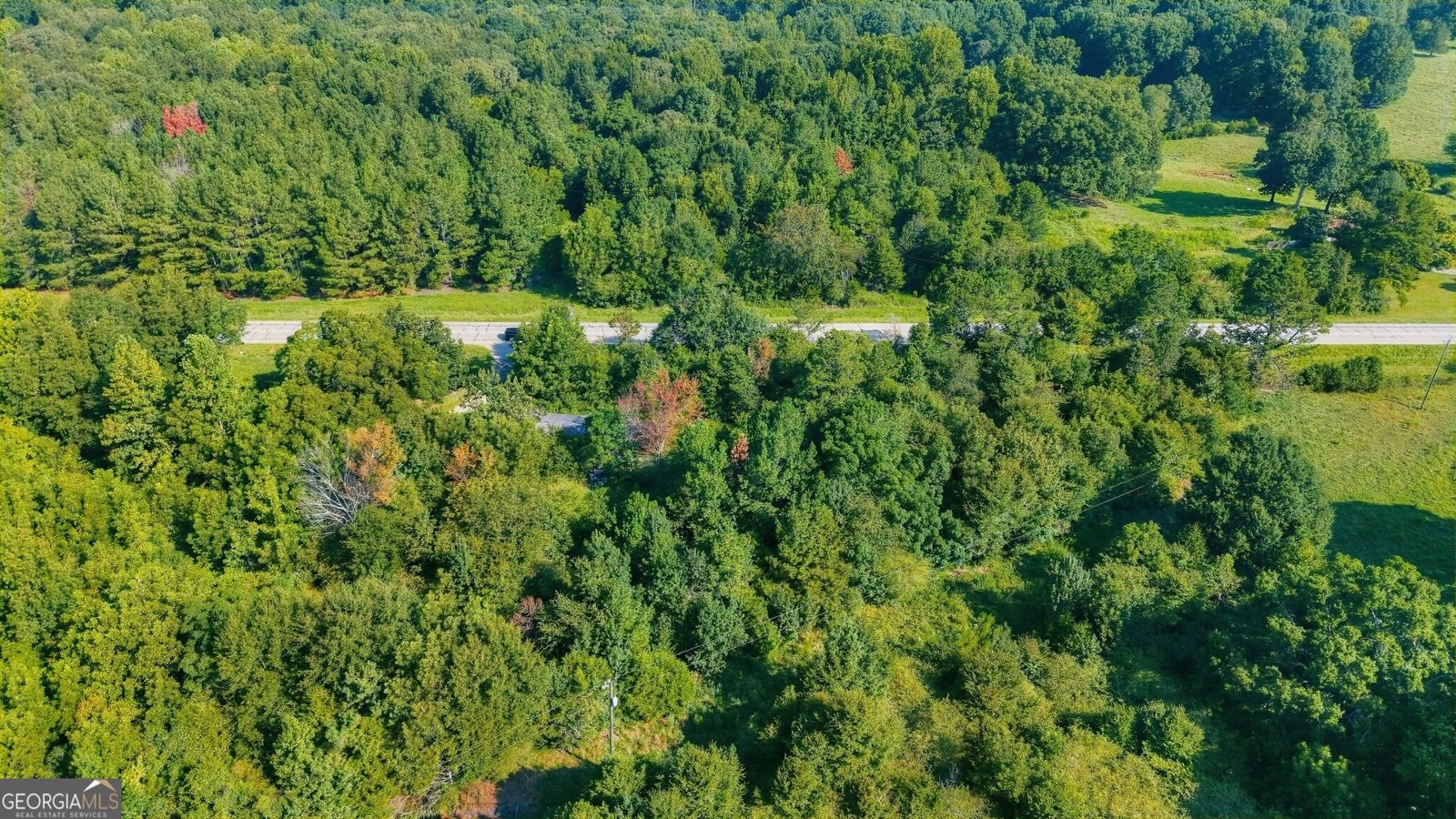 1210 Highway 63 Commerce - Photo 12