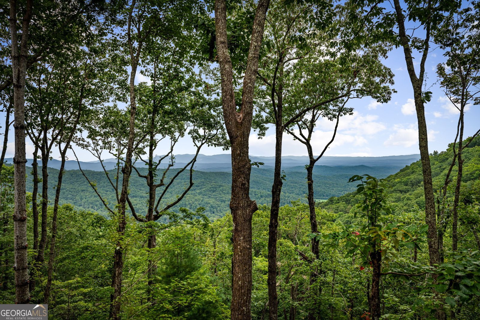 380 Utana Bluffs Trail Ellijay - Photo 13