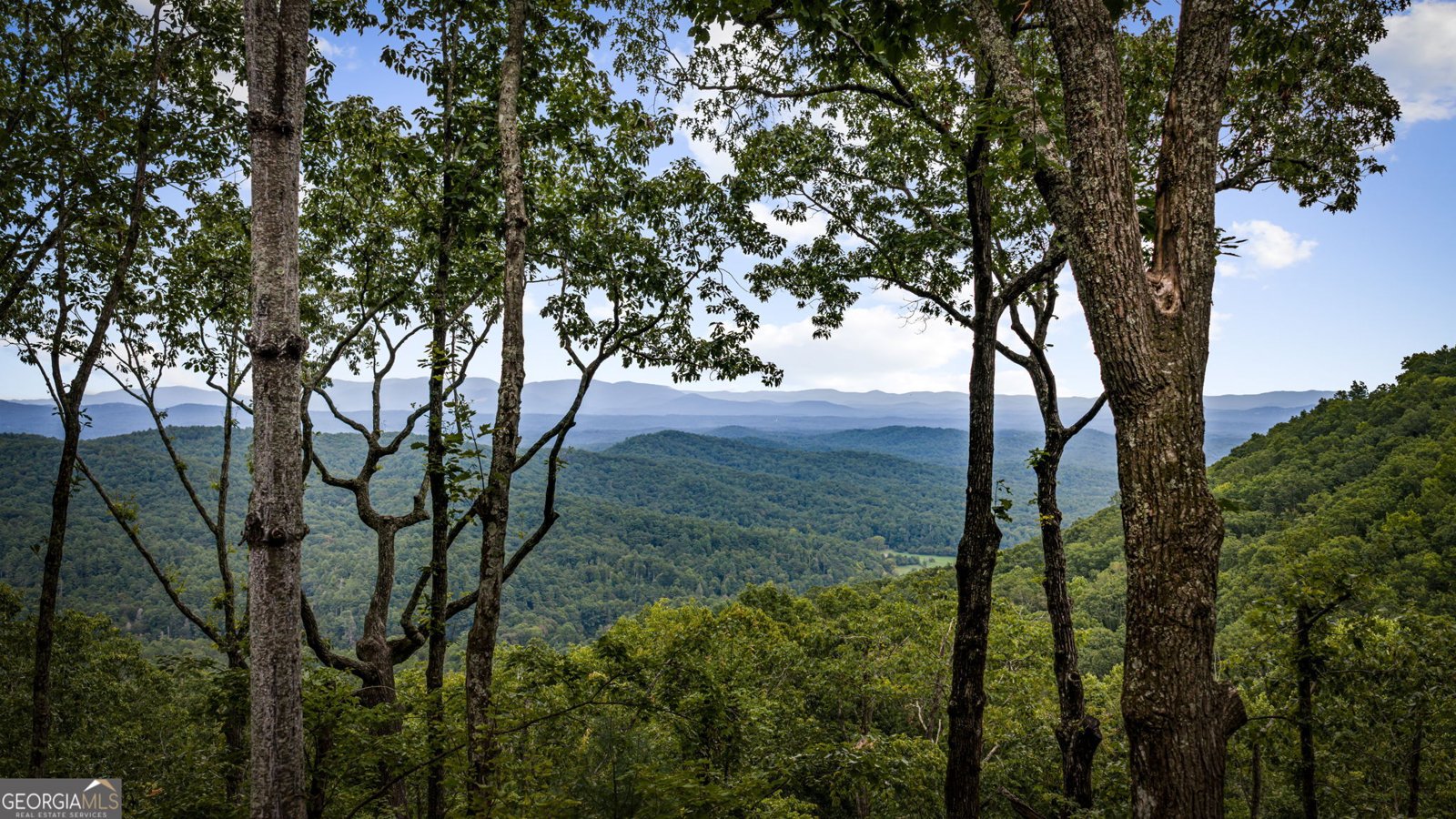 380 Utana Bluffs Trail Ellijay - Photo 9