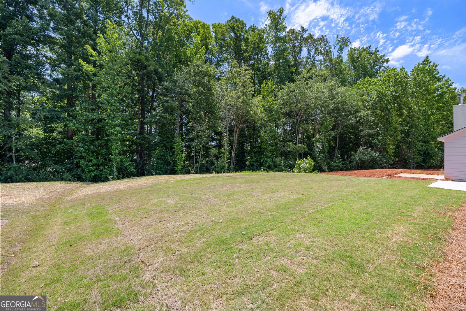 497 Charleston Place Villa Rica - Photo 6
