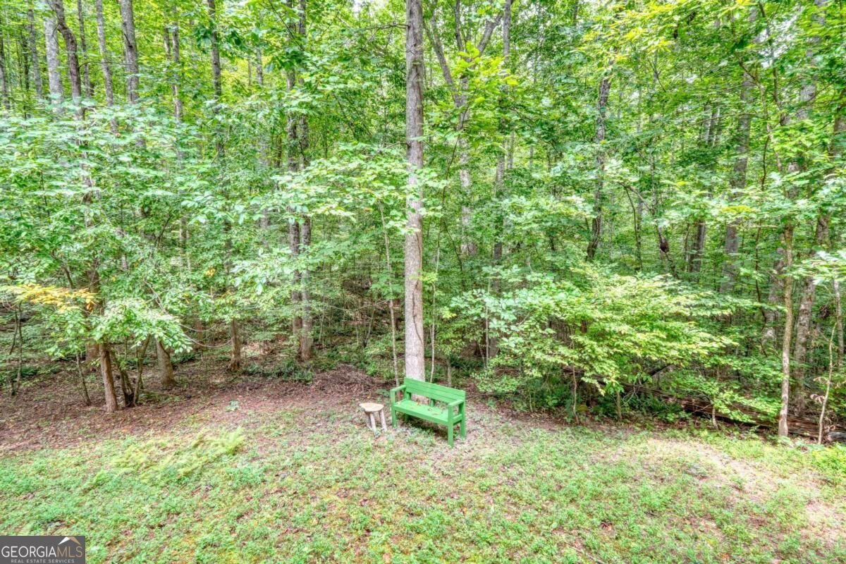 43 Melton Drive Blairsville - Photo 47