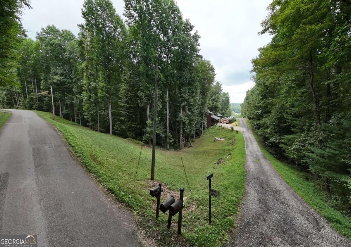 43 Melton Drive Blairsville - Photo 53