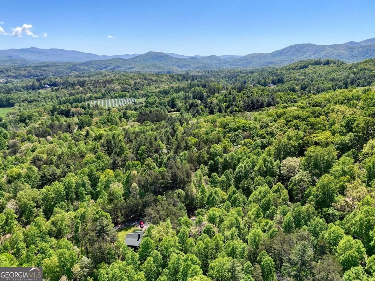 43 Melton Drive Blairsville - Photo 57