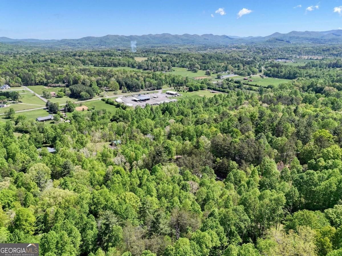 43 Melton Drive Blairsville - Photo 58