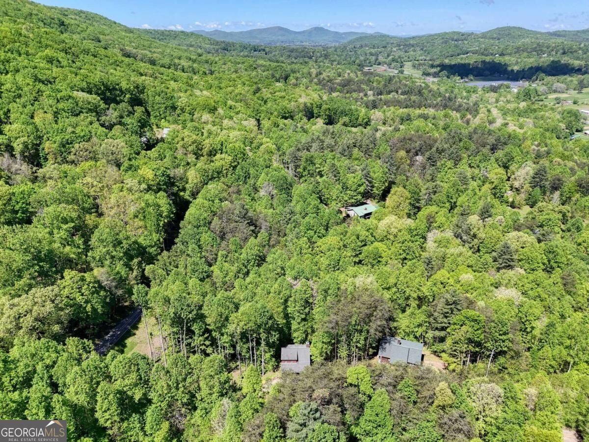 43 Melton Drive Blairsville - Photo 59