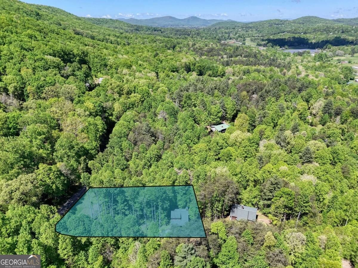 43 Melton Drive Blairsville - Photo 60