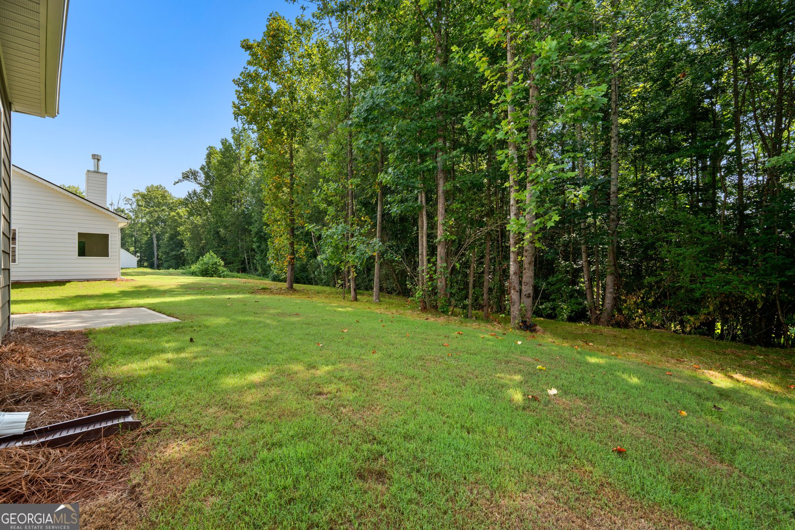 493 Charleston Place Villa Rica - Photo 52