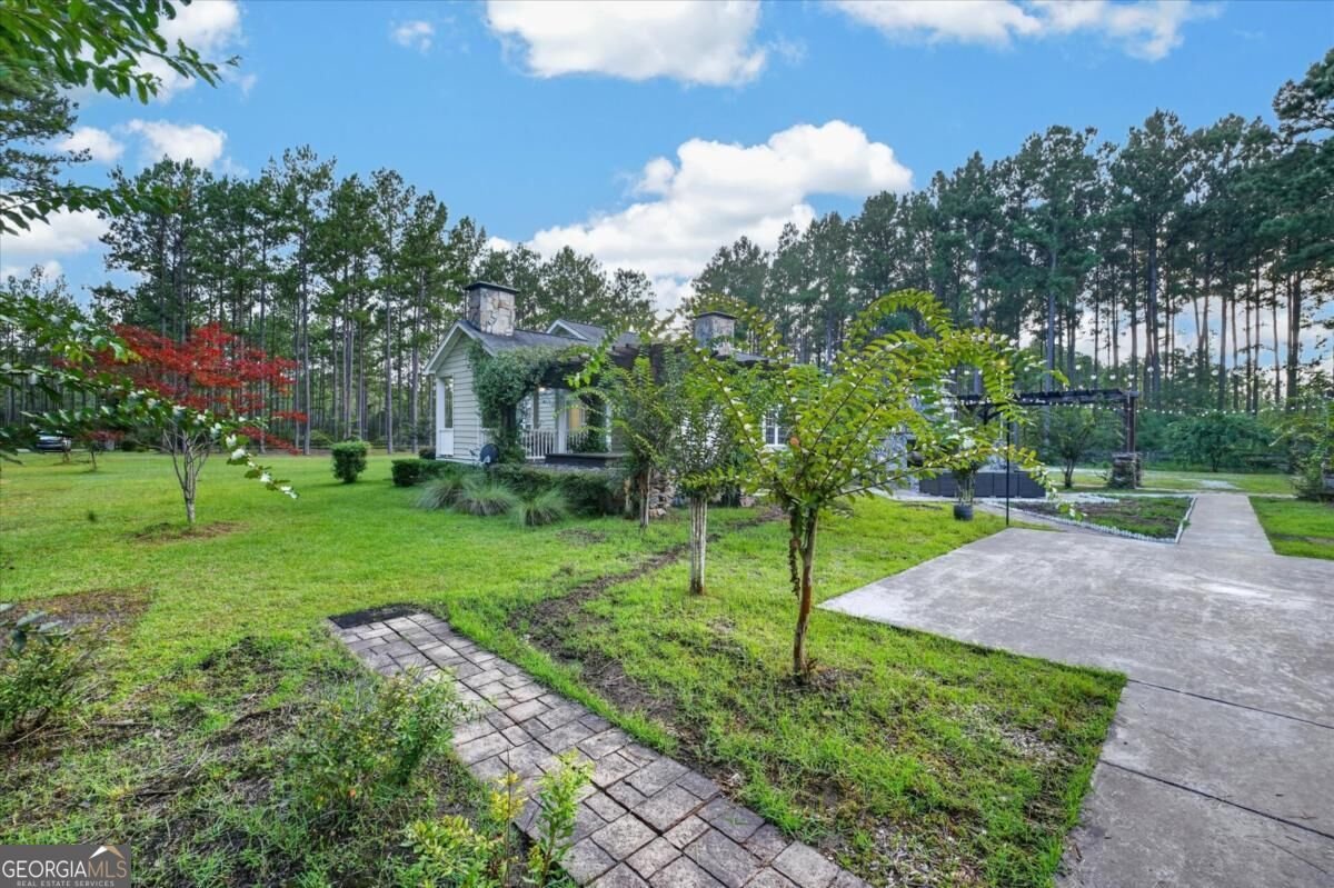 978 Groover Road Ludowici - Photo 47