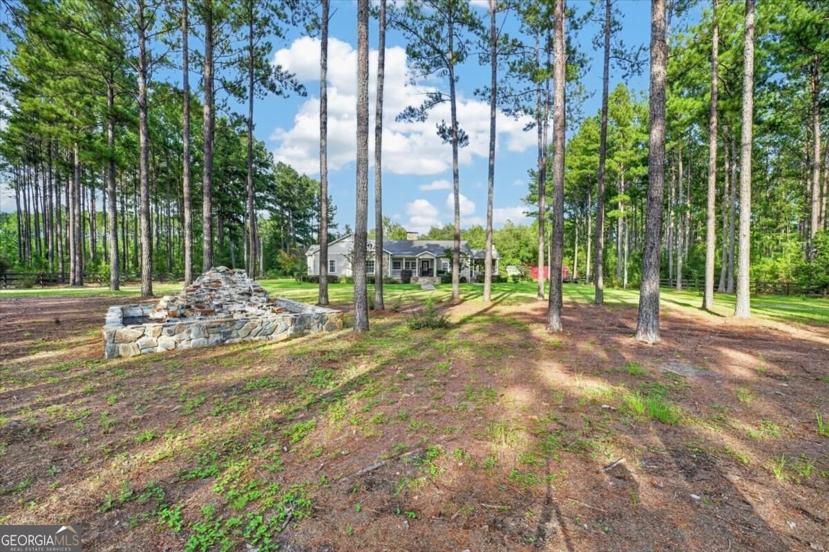 978 Groover Road Ludowici - Photo 50