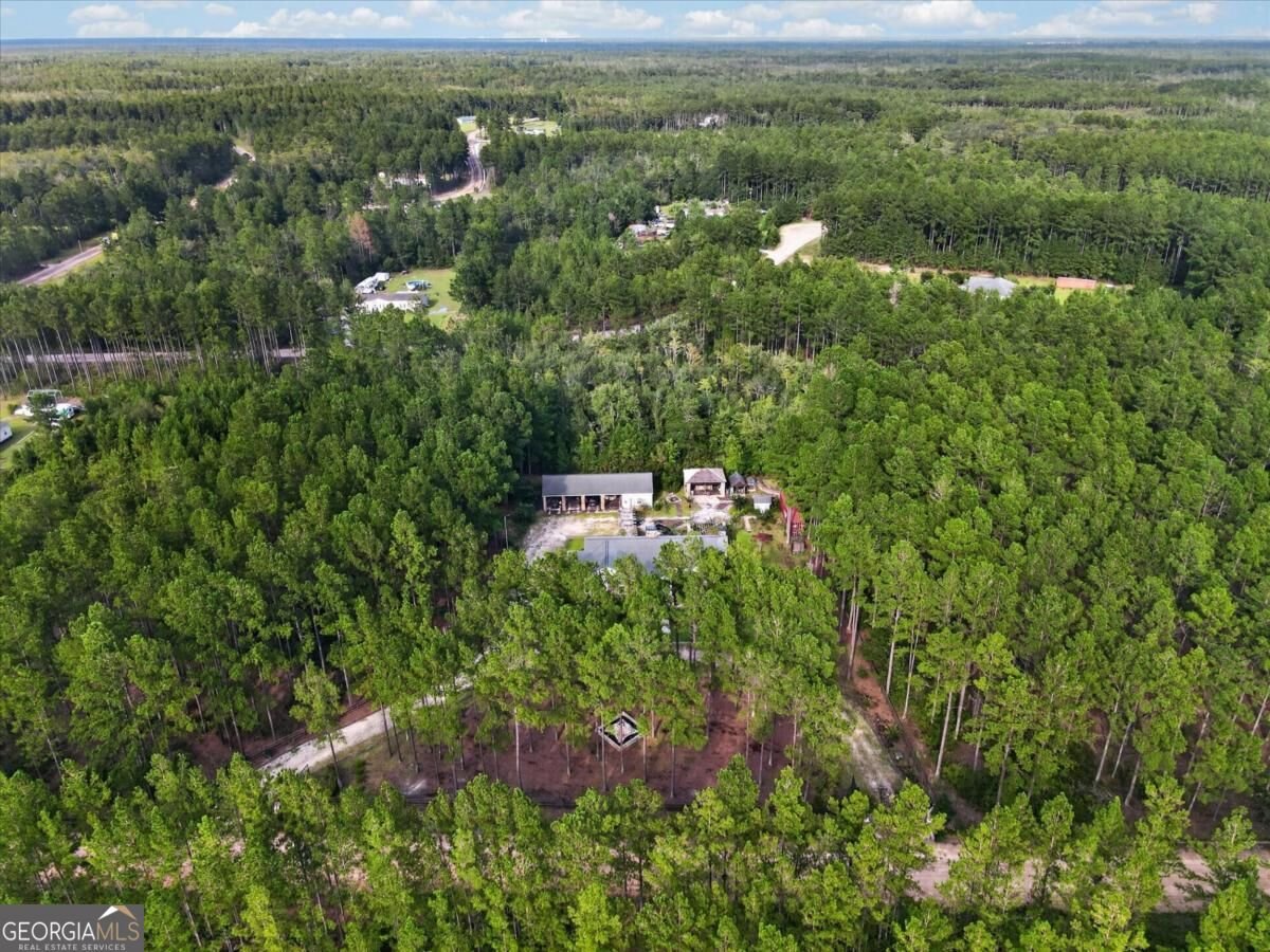 978 Groover Road Ludowici - Photo 60