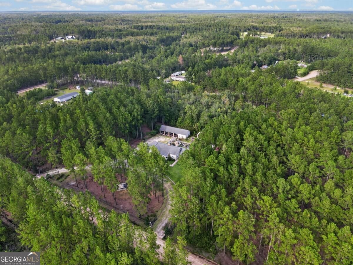 978 Groover Road Ludowici - Photo 62
