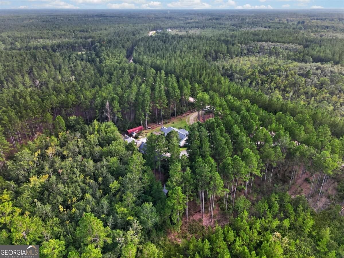 978 Groover Road Ludowici - Photo 64