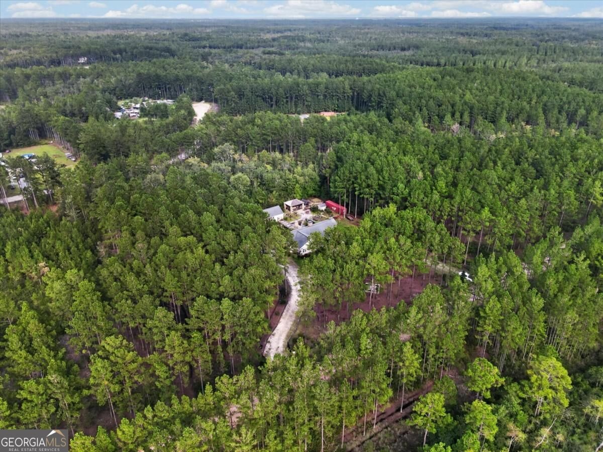 978 Groover Road Ludowici - Photo 65