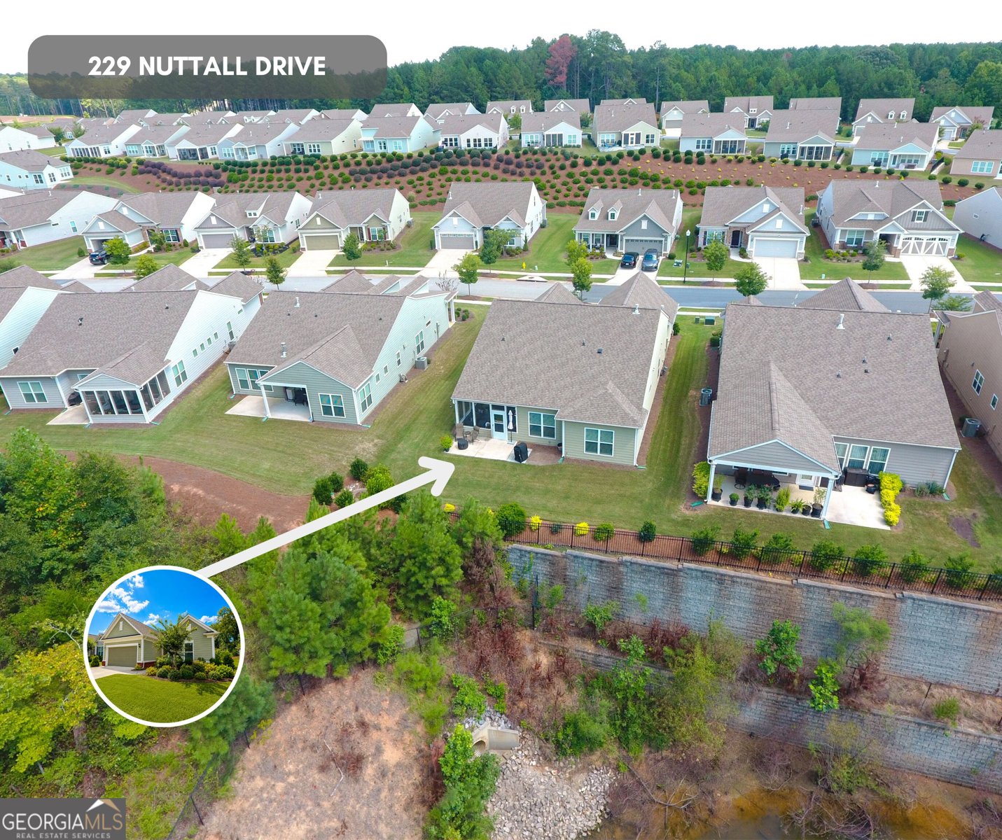 229 Nuttall Drive Griffin - Photo 63
