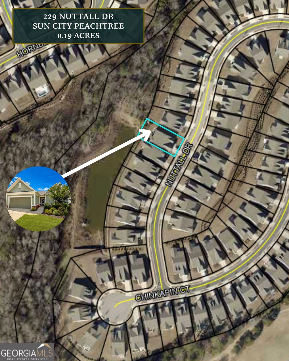 229 Nuttall Drive Griffin - Photo 64