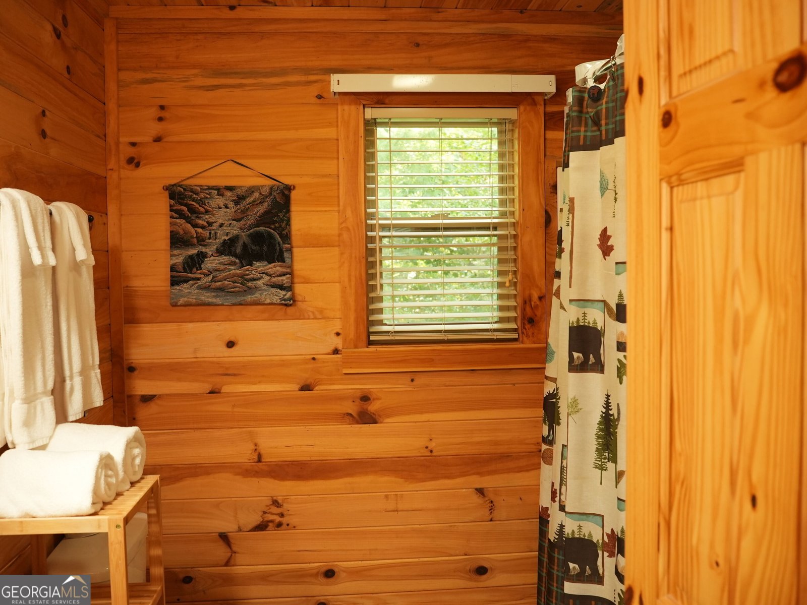 369 Myrna Branch Road Helen - Photo 29