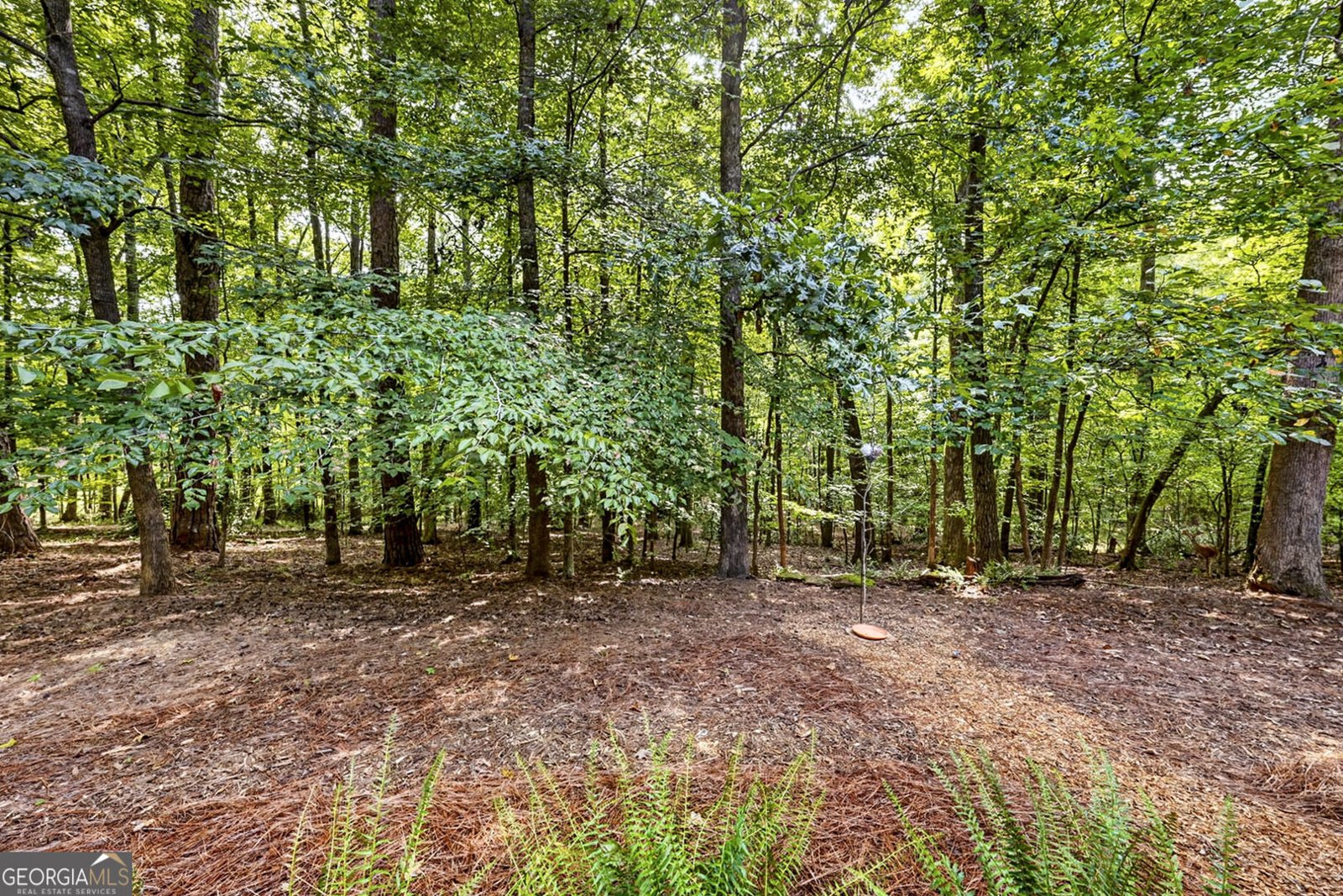 126 Morgan Drive Lagrange - Photo 58