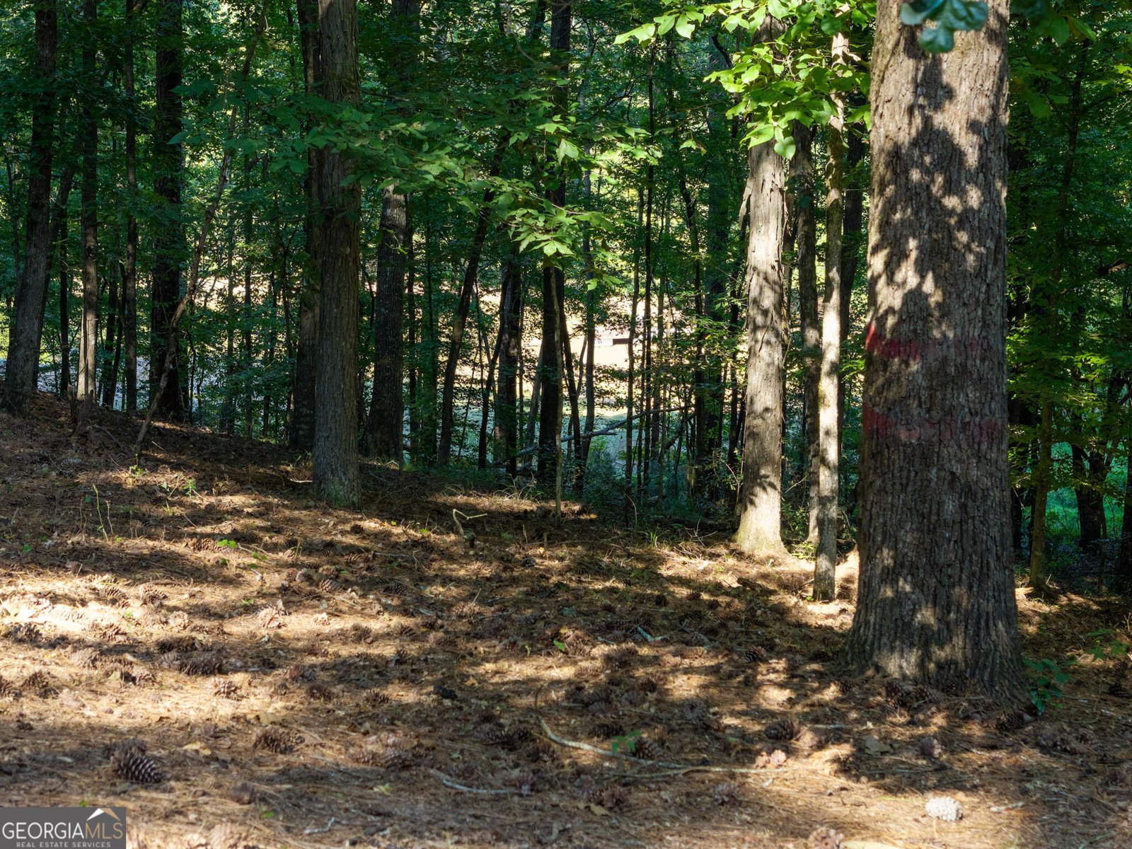 126 Morgan Drive Lagrange - Photo 77