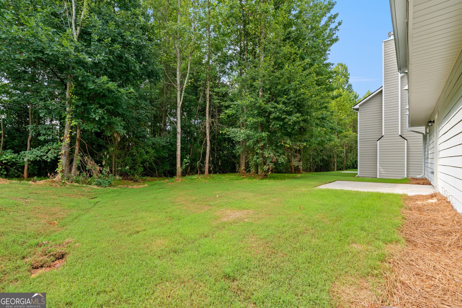 491 Charleston Place Villa Rica - Photo 38