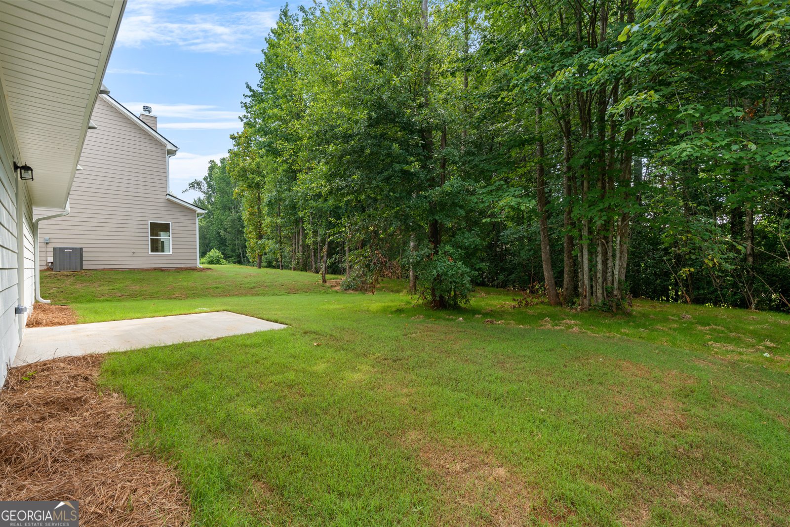 491 Charleston Place Villa Rica - Photo 42