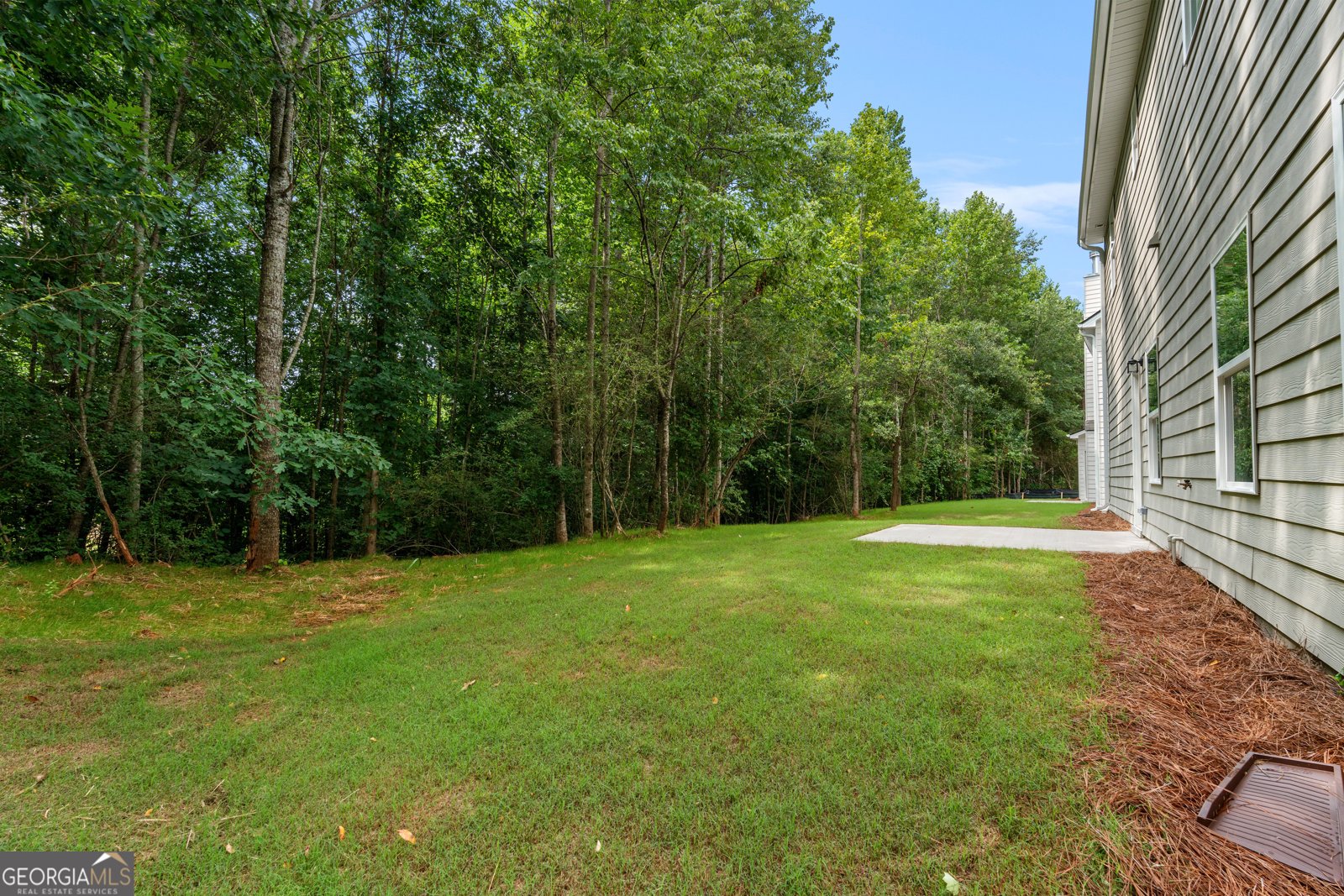 489 Charleston Place Villa Rica - Photo 48