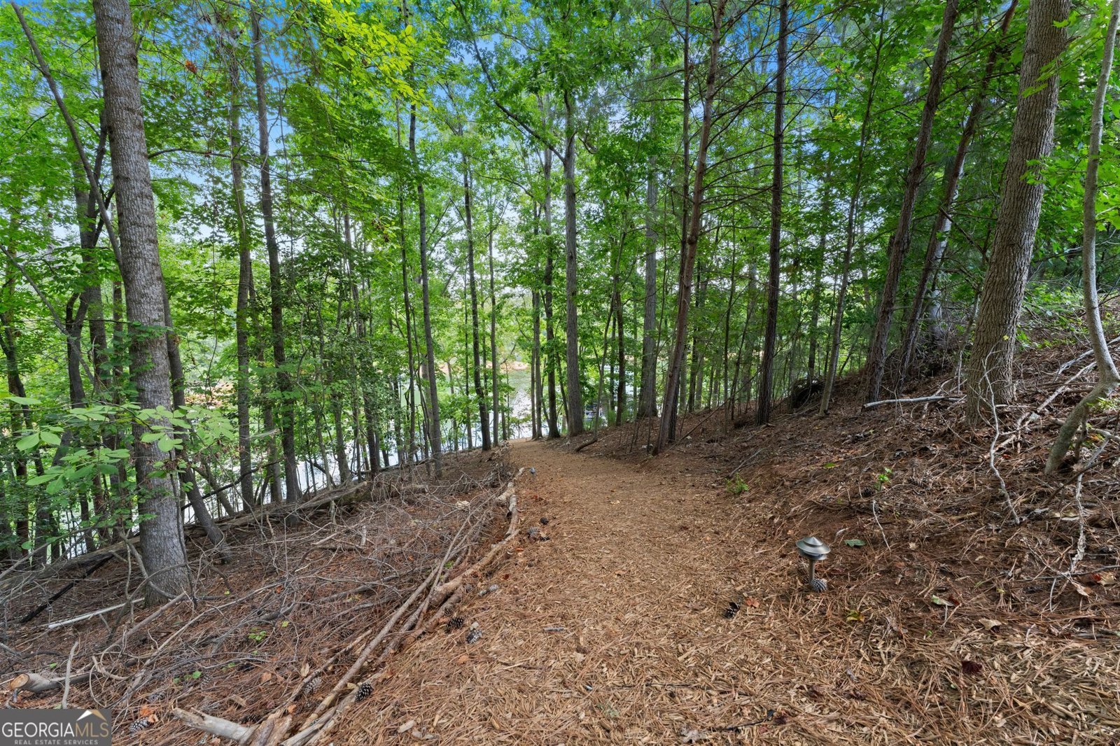 3438 Dockside Shores Drive Gainesville - Photo 119