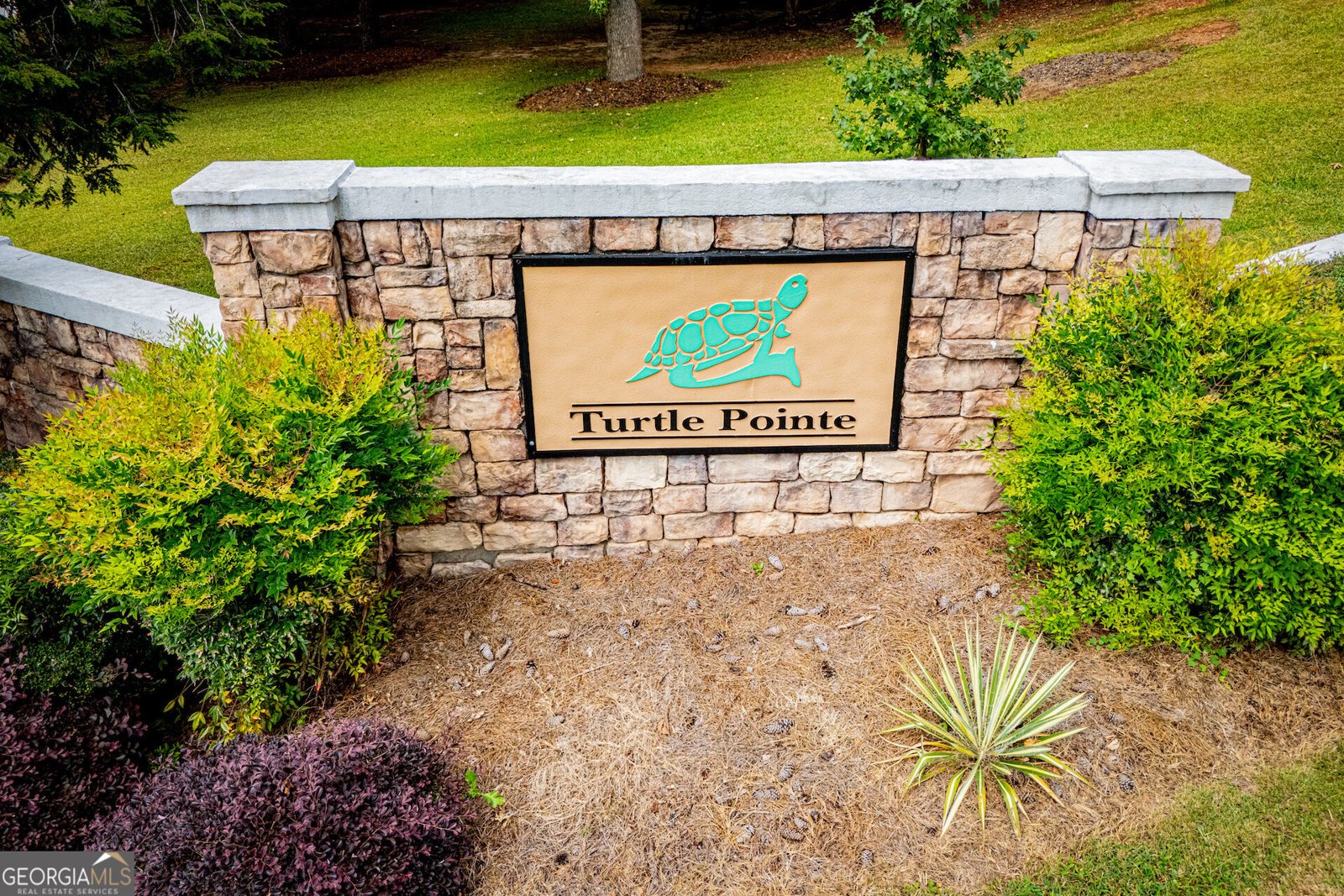 109 Turtle Walk Carrollton - Photo 68