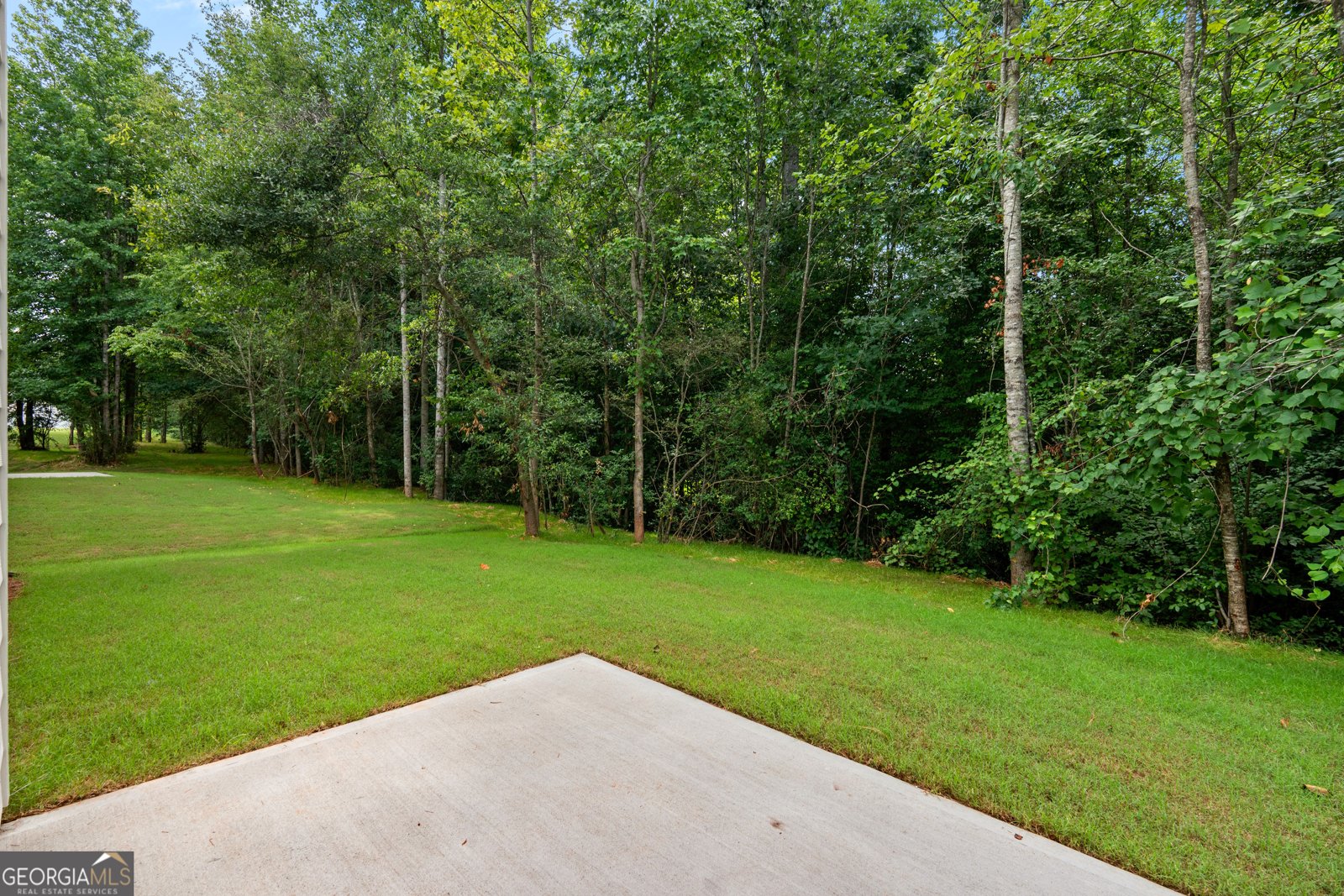 487 Charleston Place Villa Rica - Photo 44