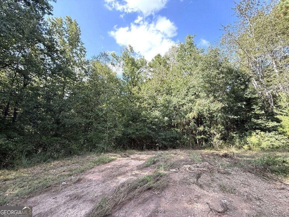 2594 Hughes Rd Bowman - Photo 23