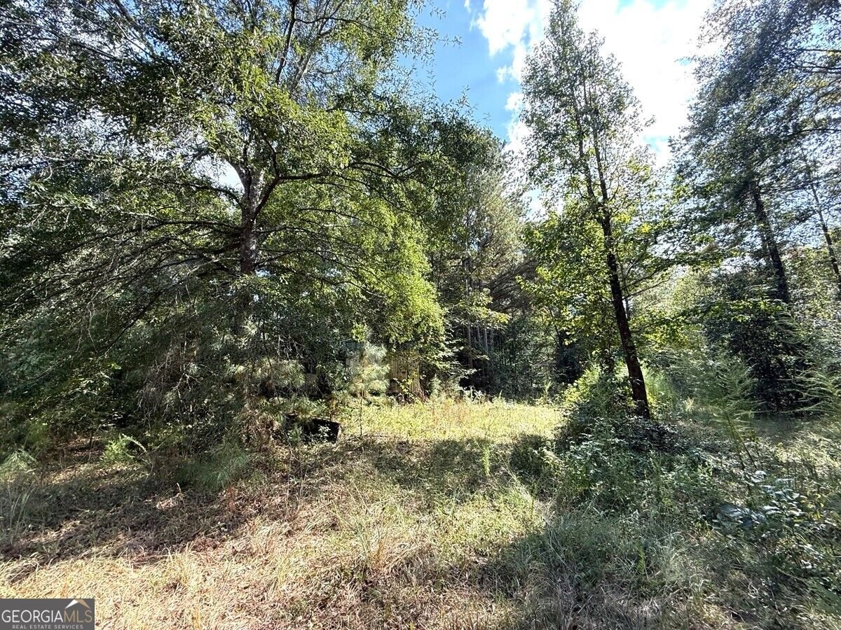 2594 Hughes Rd Bowman - Photo 24