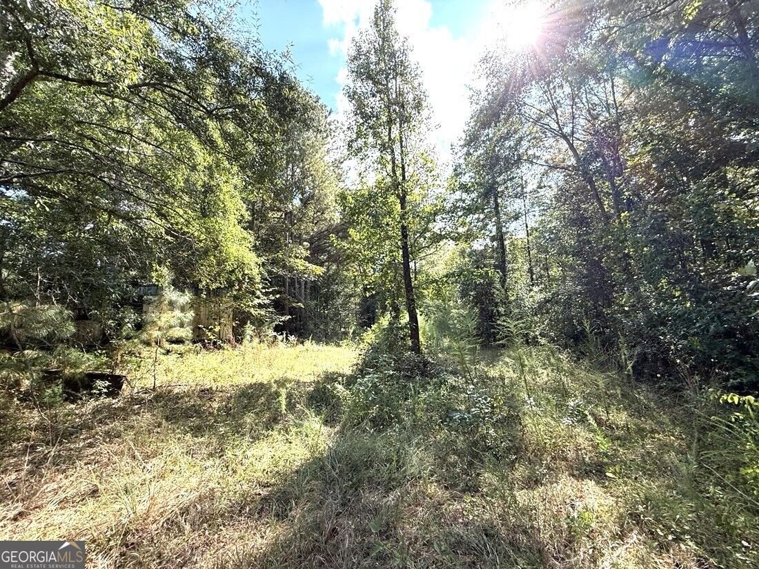 2594 Hughes Rd Bowman - Photo 25