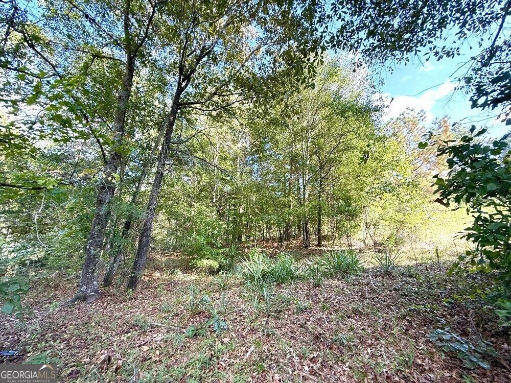 2594 Hughes Rd Bowman - Photo 26