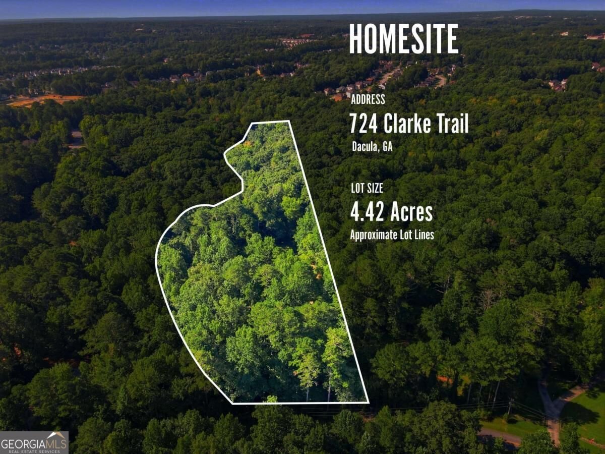 724 Clarke Trail Dacula - Photo 52