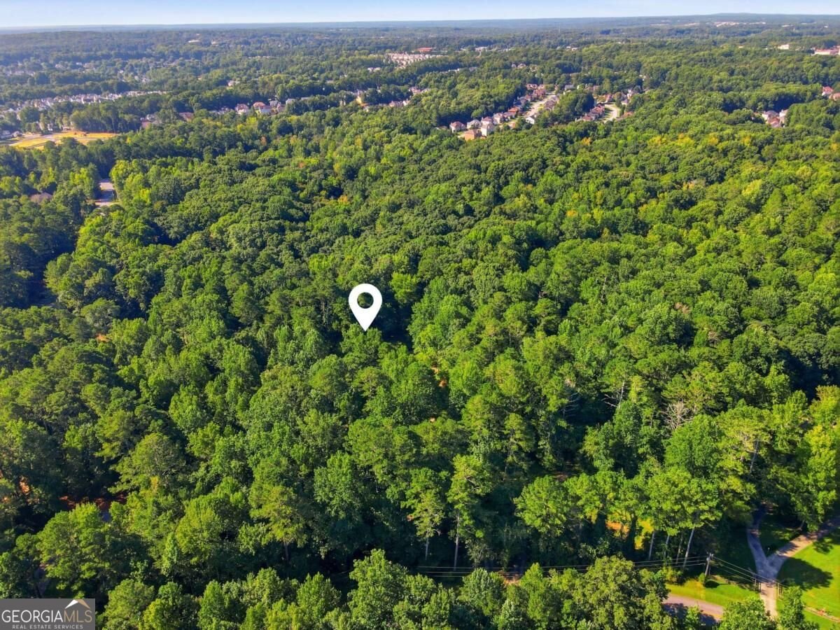 724 Clarke Trail Dacula - Photo 53
