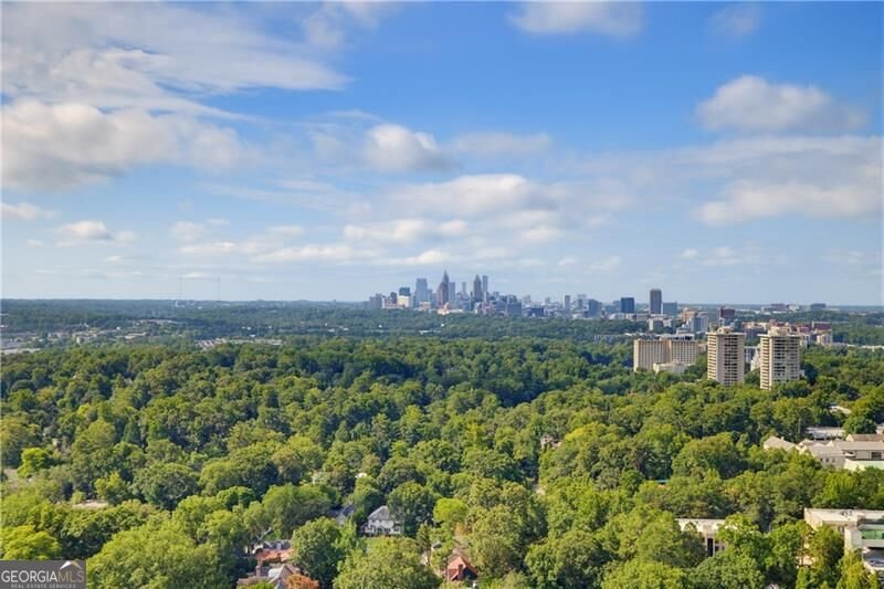 2881 Peachtree Road Atlanta - Photo 16