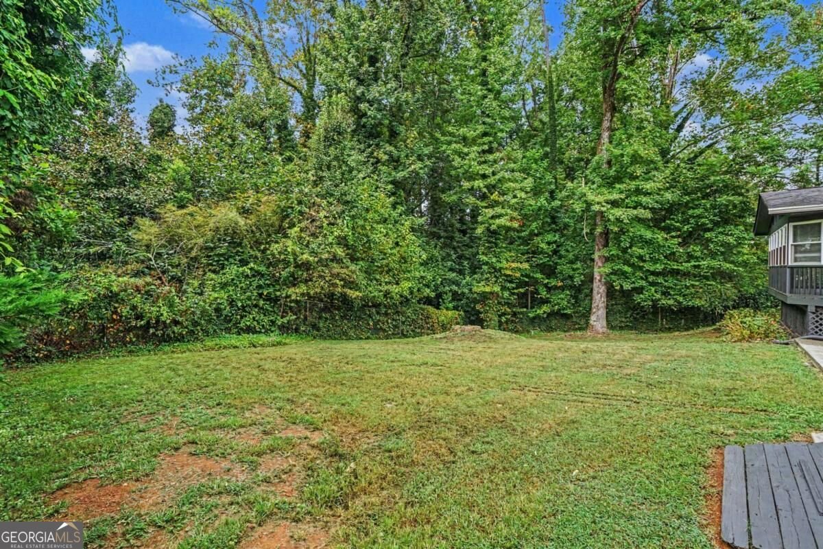 1129 Carla Joe Drive Lilburn - Photo 19
