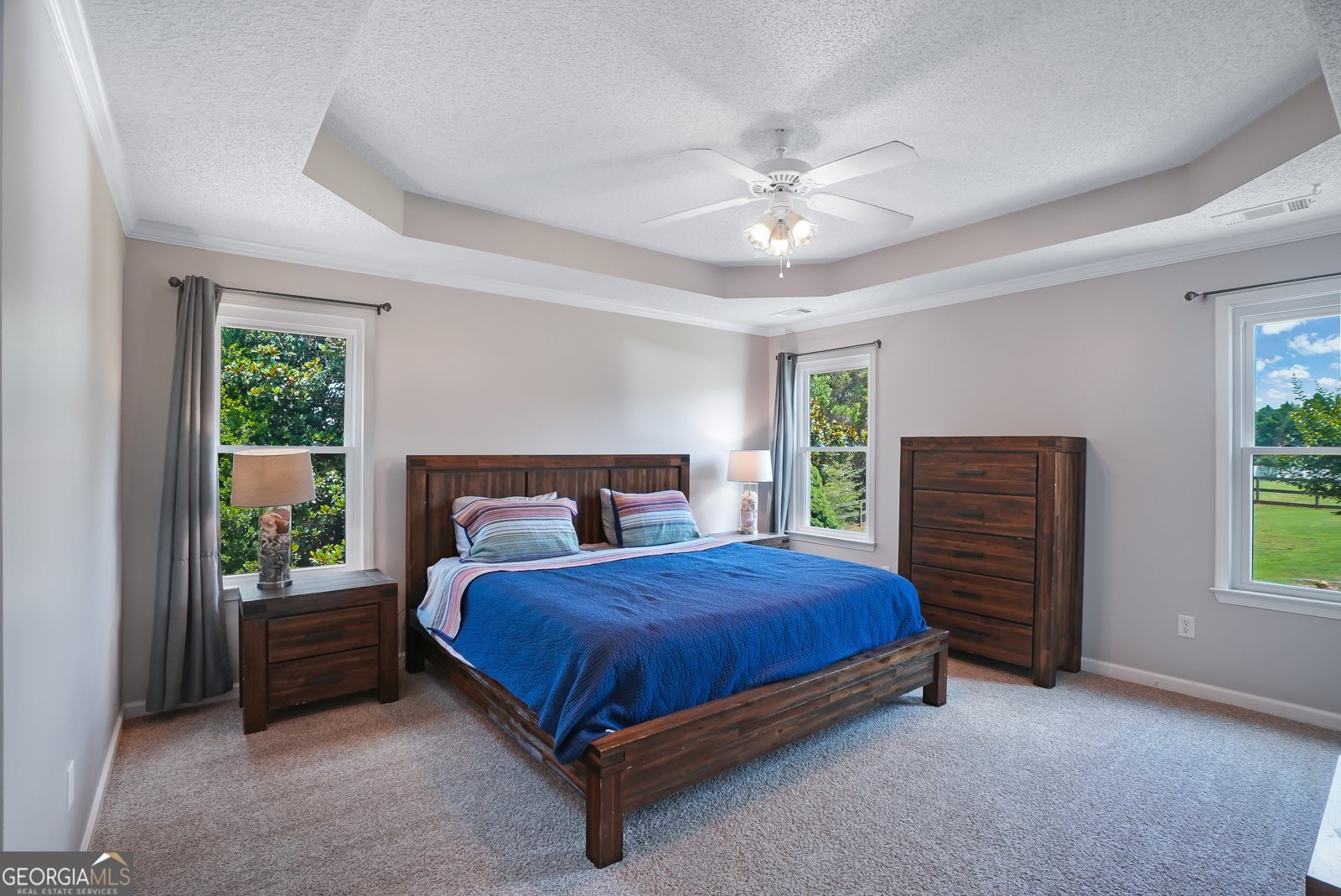 188 Meadows Drive Senoia - Photo 10