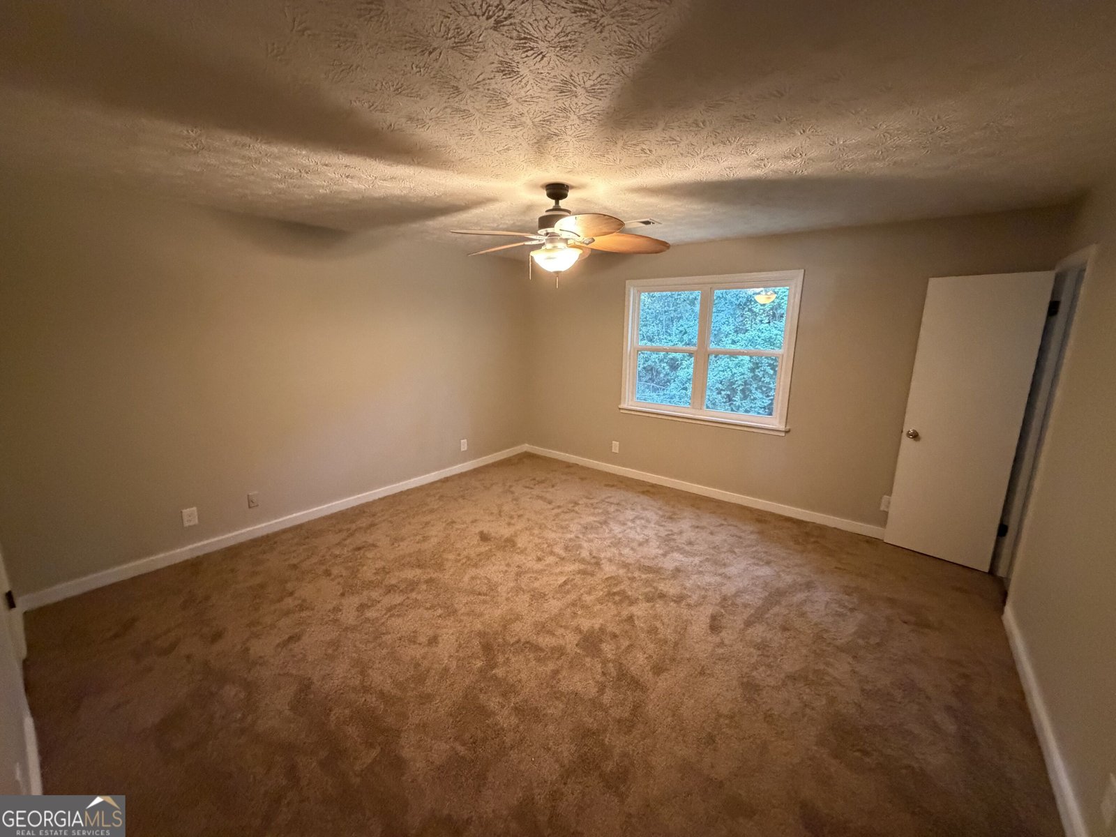 613 Blue Flag Lane Fairburn - Photo 15