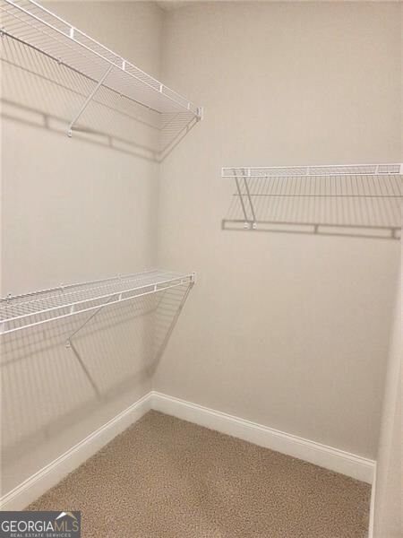 149 White Antelope Street Waleska - Photo 8