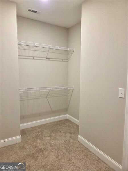 149 White Antelope Street Waleska - Photo 9