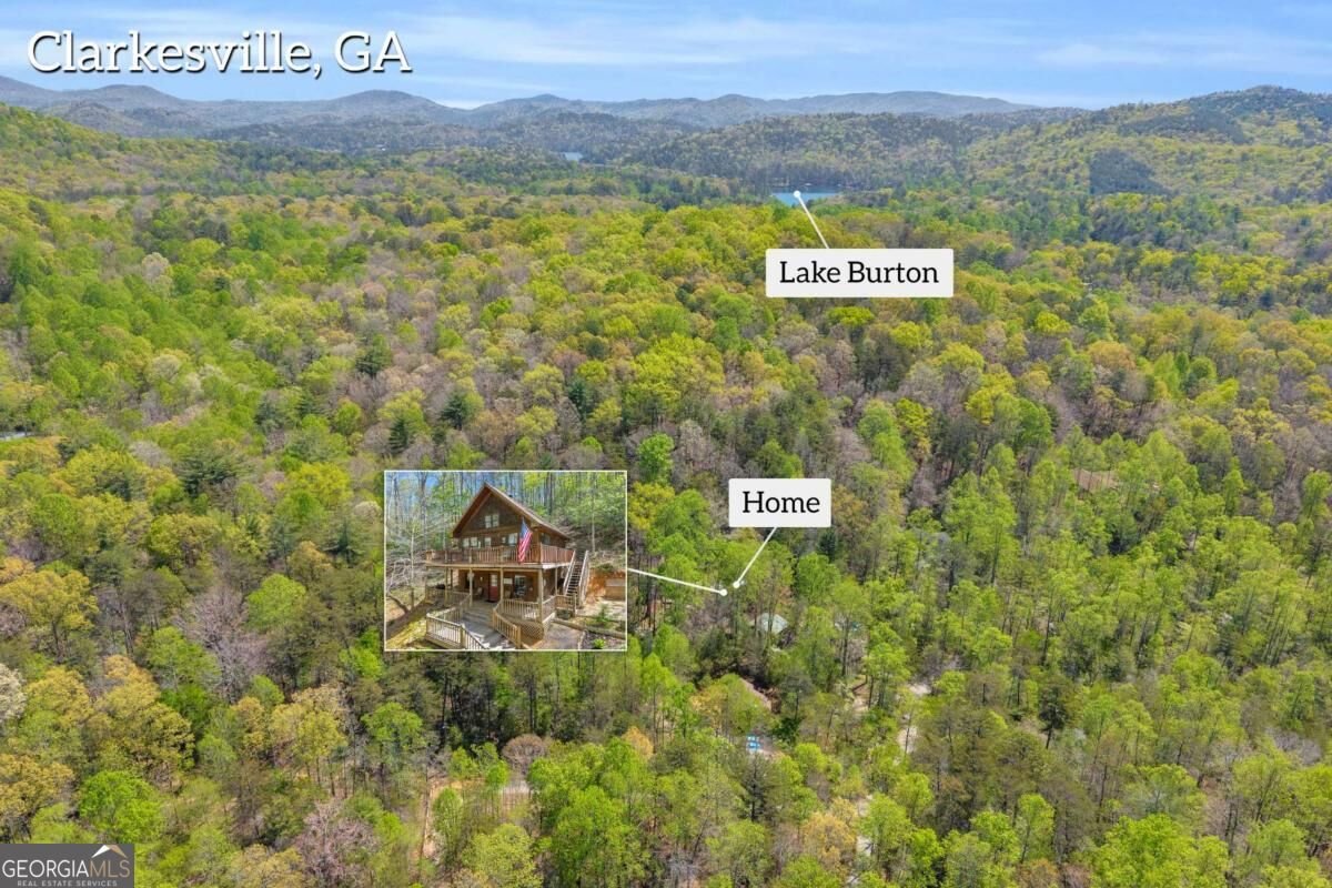 294 Brookwood Lane Clarkesville - main photo