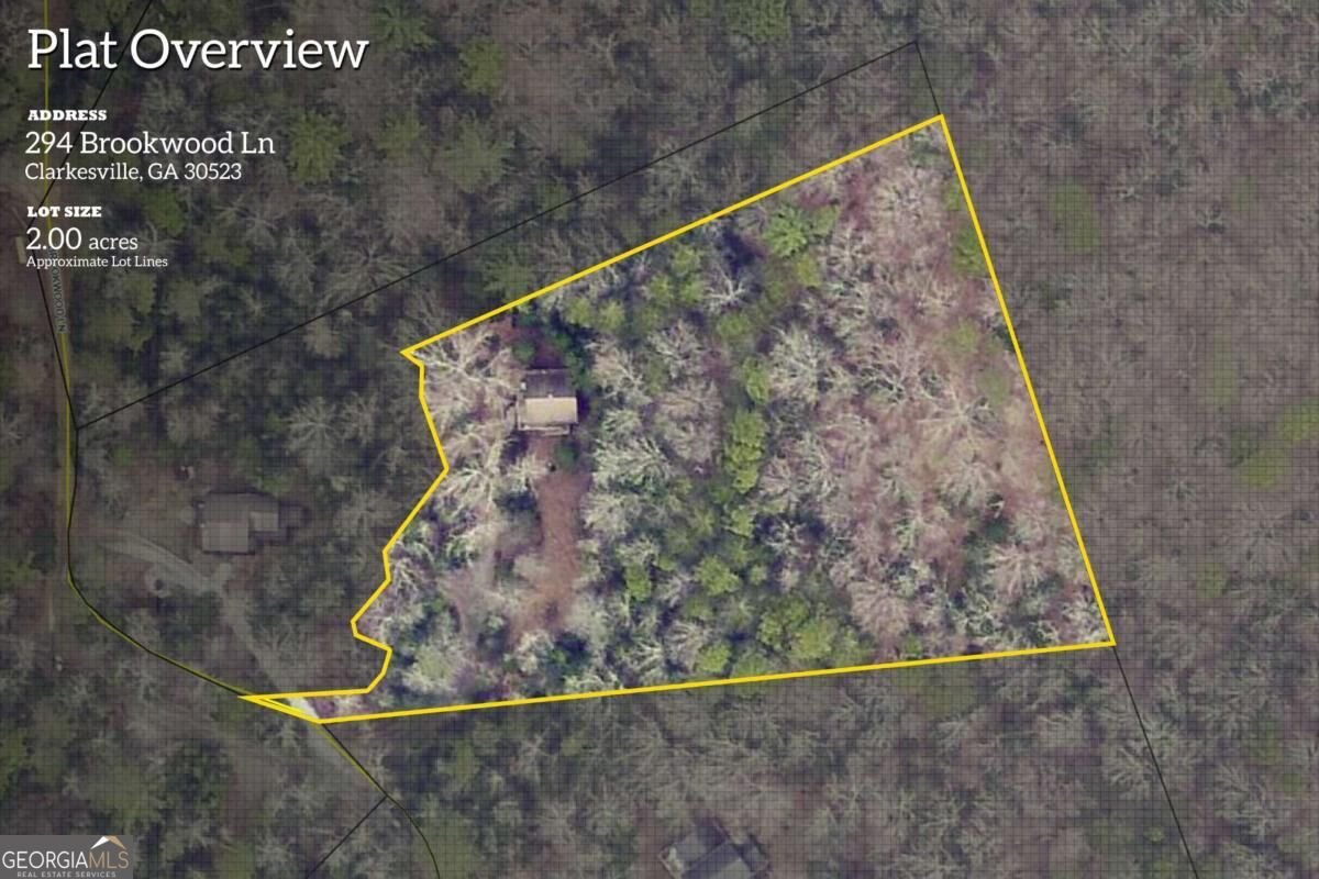 294 Brookwood Lane Clarkesville - Photo 44