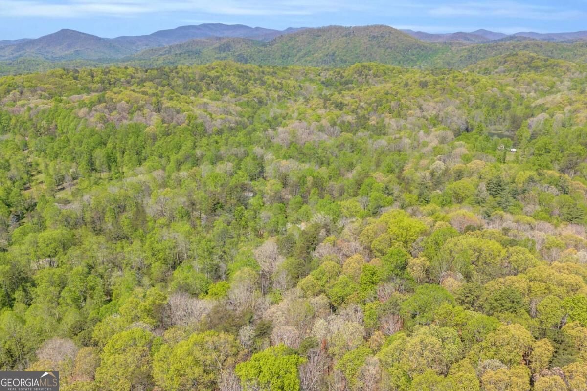 294 Brookwood Lane Clarkesville - Photo 46
