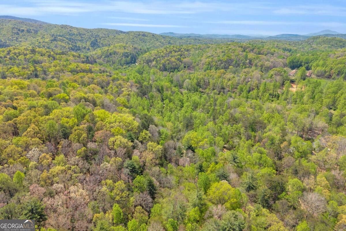 294 Brookwood Lane Clarkesville - Photo 49