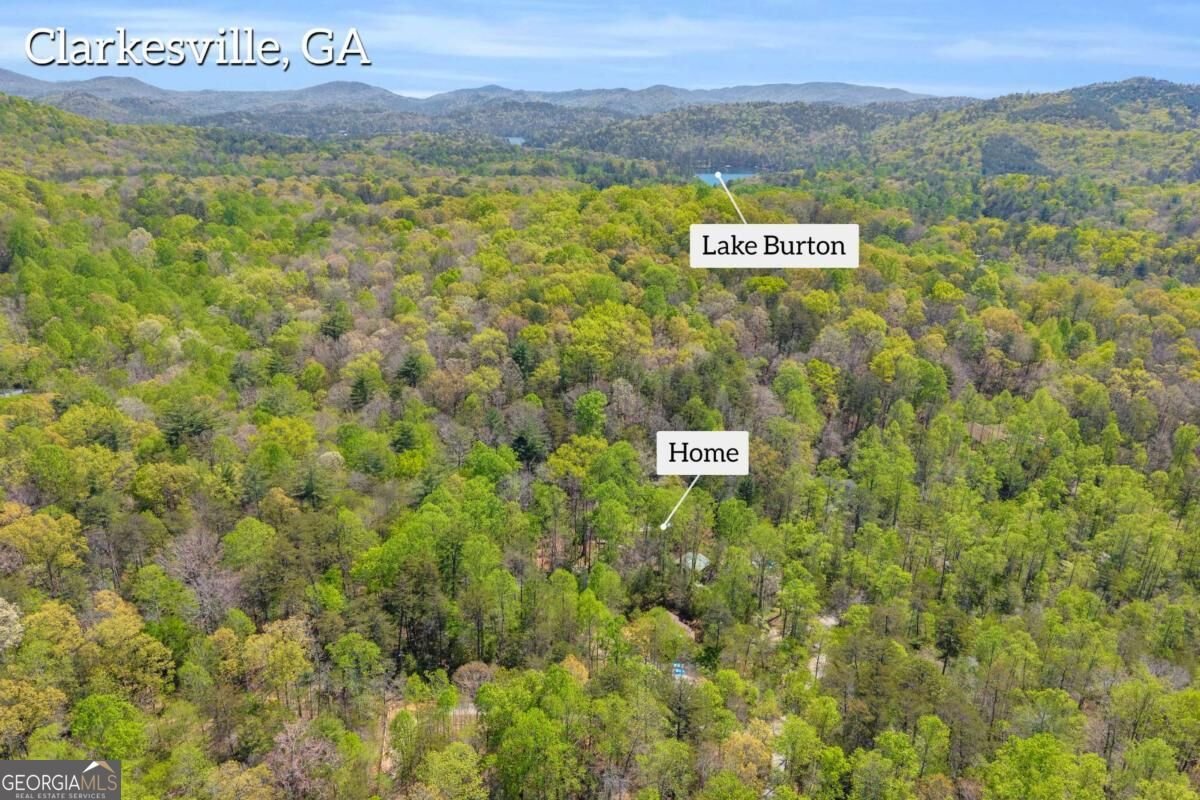 294 Brookwood Lane Clarkesville - Photo 7