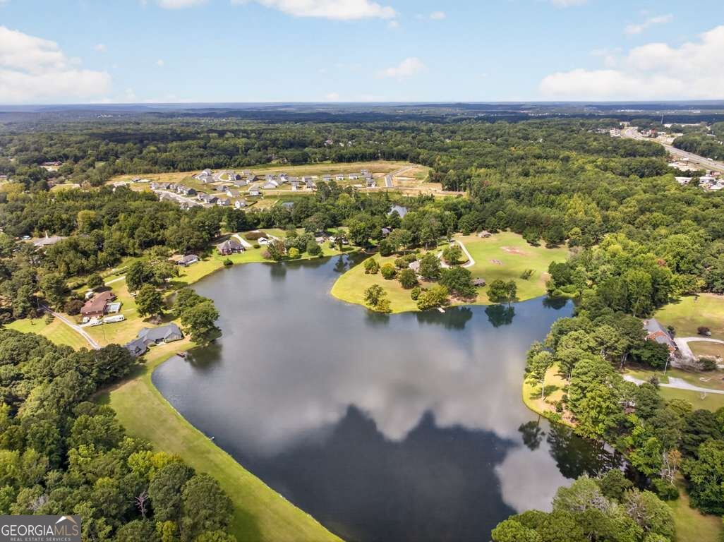 976 Walker Lake Road Conyers - Photo 31