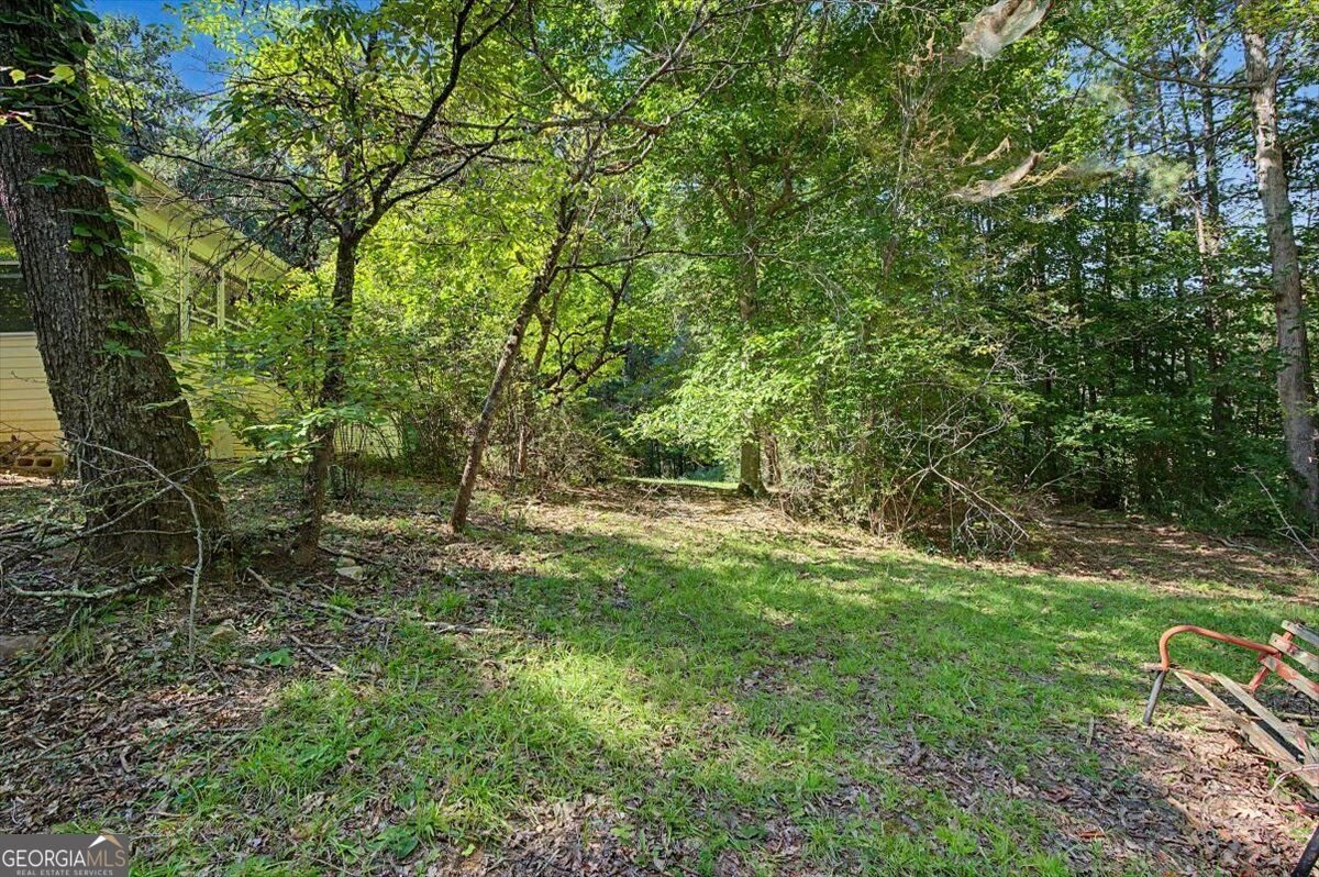430 Legion Lake Road Villa Rica - Photo 47