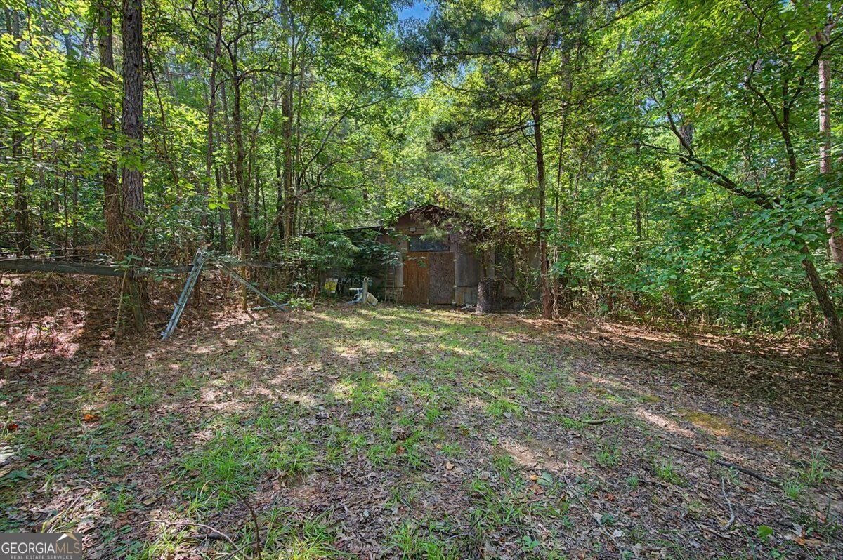 430 Legion Lake Road Villa Rica - Photo 52